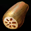 Lotus Root