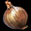 Onion
