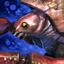 Mini Freshwater Crab