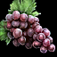 Grape
